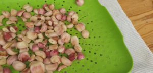 Посадила яровой чеснок/Пакет для бочки с водой