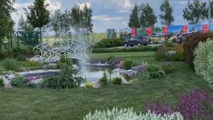 ТРАВЫ И ДЕКОРАТИВНЫЕ ЗЛАКИ