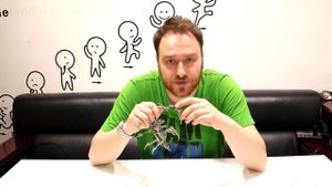 МОДЕЛИ С ALIEXPRESS. DIY. МОДЕЛИ ДЛЯ КОЛЛЕКЦИОНЕРОВ. МЕТАЛЛИЧЕСКАЯ 3D МОДЕЛЬ СКОРПИОНА ТРЕШ ОБЗОР