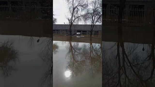 Обстановка в Оренбурге