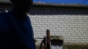 как вытопить воск из мервы самый эффективный способ и минимум затрат