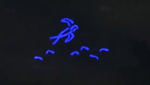 Санкт-Петербургский театр рук HAND MADE