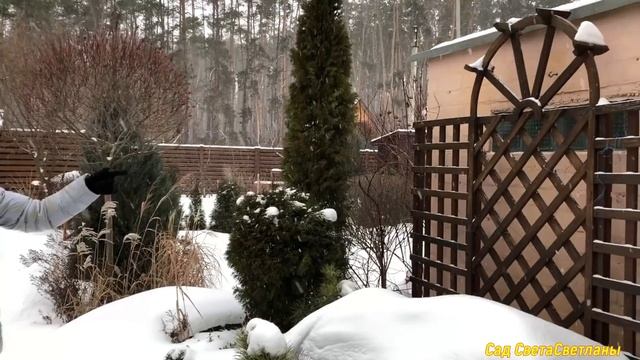 Как КРАСИВО отделить ОГОРОД от САДА. Ландшафтный дизайн своими руками. #красивыйсад#красивыйогород