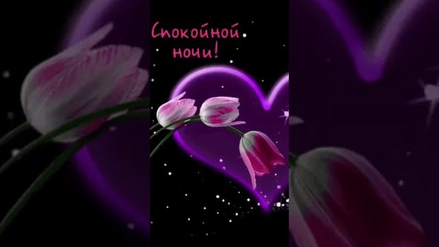 Доброй ночи. Приятных снов