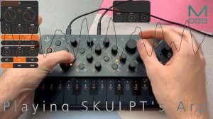 SKULPT synthesiser -  Playing The Arp