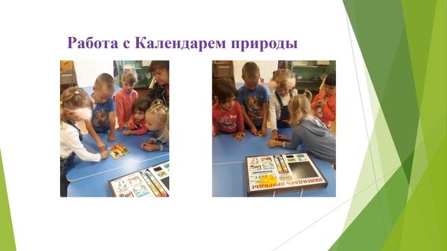 Природный материал –лучшая задумка для поделок. МКДОУ детский сад с Бирит. Вологжин Гордей