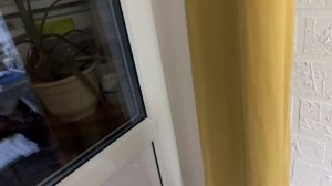 Французский бульдог Сэм обожает творог