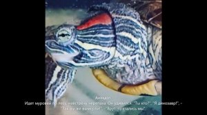 Черепаха Василий и виноград. Любит виноград разного сорта и букашек
Анекдот про черепаху и продавца.