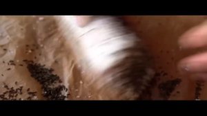 Как засолить сало по украински. Секретный рецепт сала