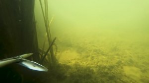 В Астрахань без Шерпа. Рыбалка и подводная охота на Волге.