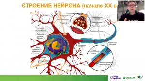 Урок Цифры «Искусственный интеллект и машинное обучение». Методический вебинар 19.02.2019