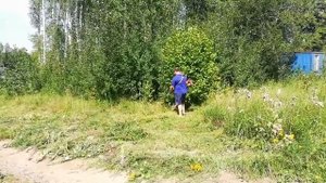 Купили участок, начинаем осваивать целину, а точнее вырубка леса.