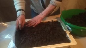 Покрываем грунтом мицелий шампиньона.