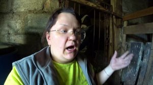 Тимпания - опасная болезнь коровы