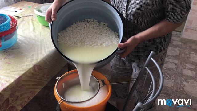 Варим сыр Качотта и Рикотта из козьего молока