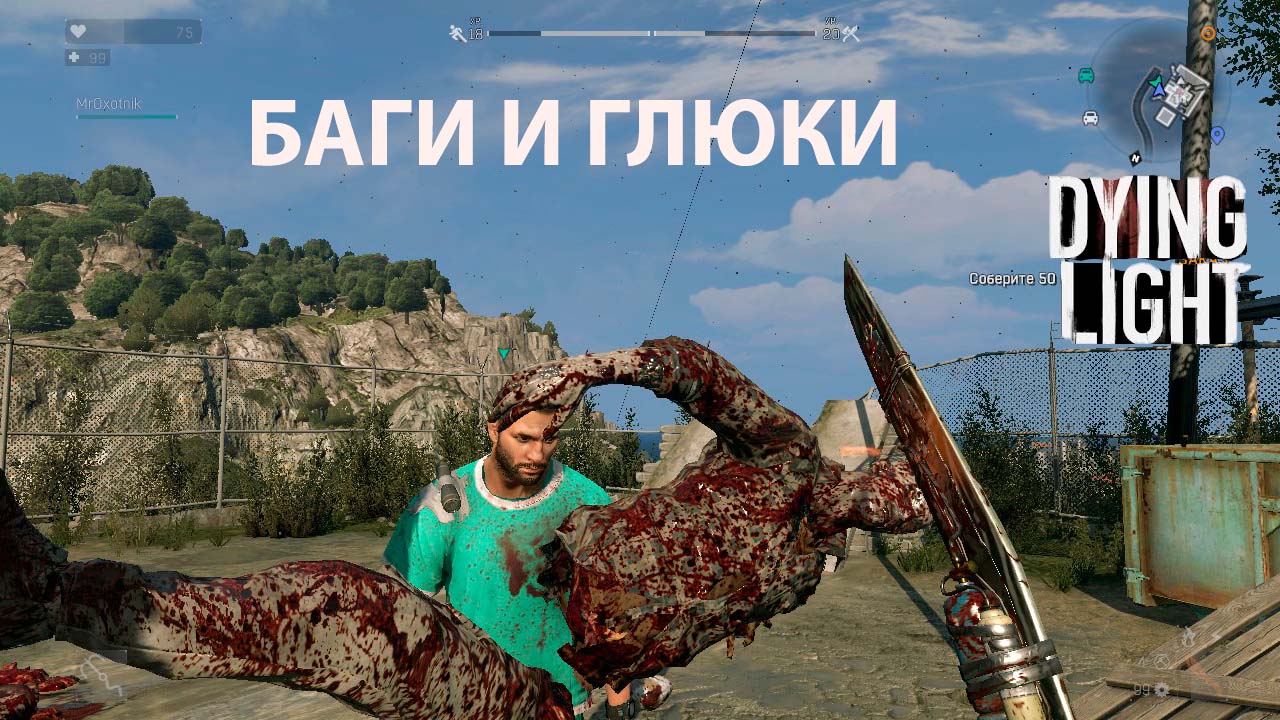 Баги в Dying Light