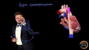 SmartLearn: Вячеслав Варенцов  "Круги кровообращения"