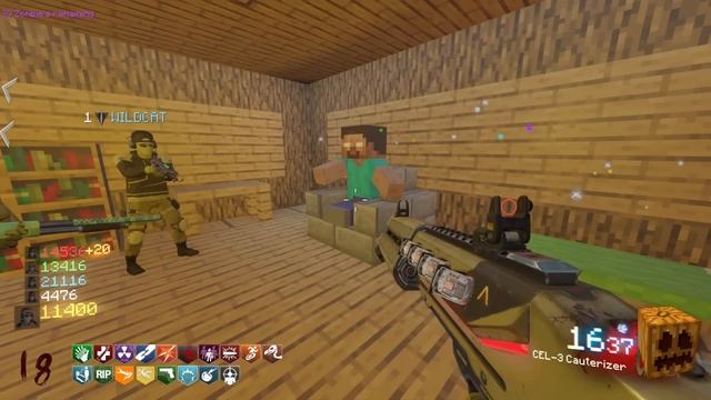 Call of Duty Minecraft Zombies with 5 people!