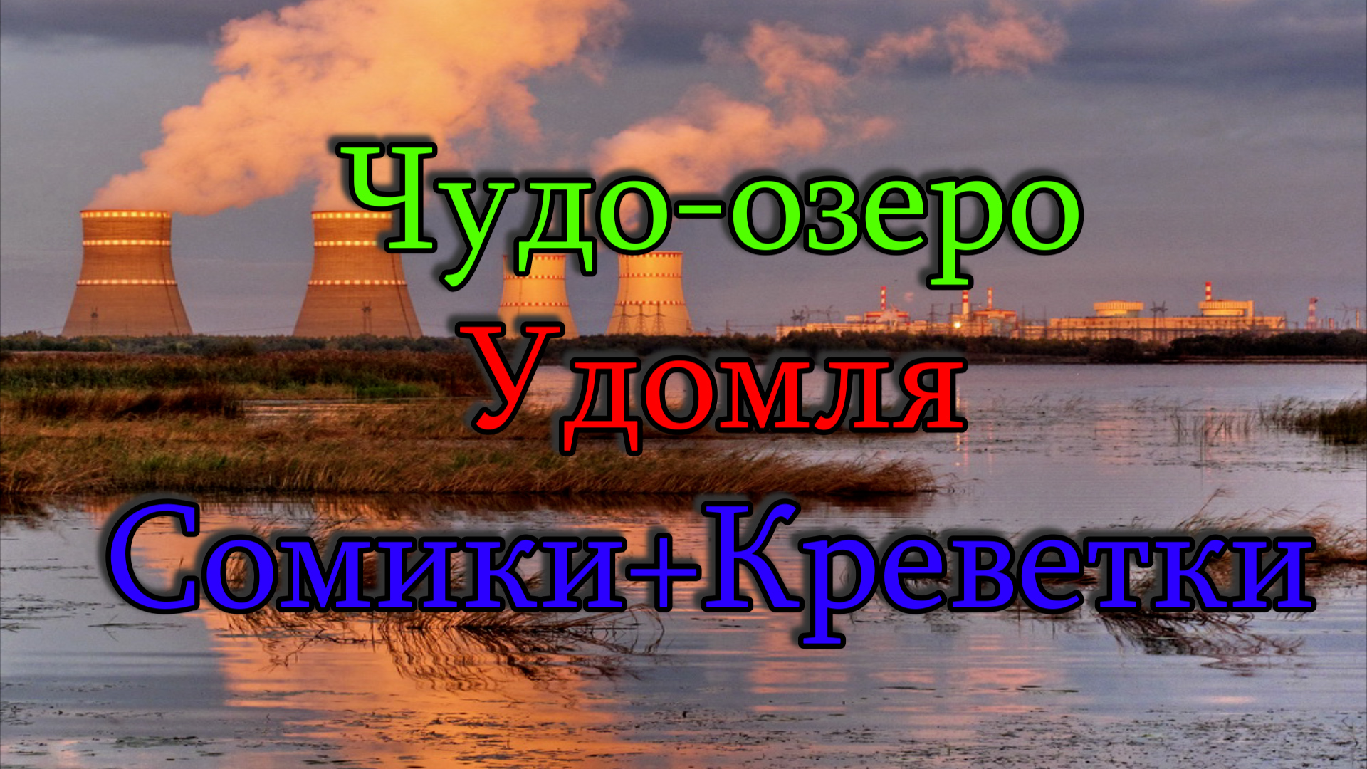 Чудо-Озеро Удомля Сомики+Креветки. Гроза Рыбалке не помеха. Летний фидер на Удомле. Рыбалка 2022