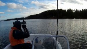 ОСЕННИЙ СУДАК! МОЖАЙСКОЕ ВОДОХРАНИЛИЩЕ!!! 2021.