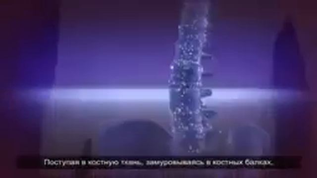 Корзун В. Н. о Гели Вертера