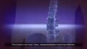 Корзун В. Н. о Гели Вертера