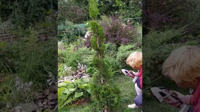 Стрижка тут Смарагд (по спирали) смотреть онлайн