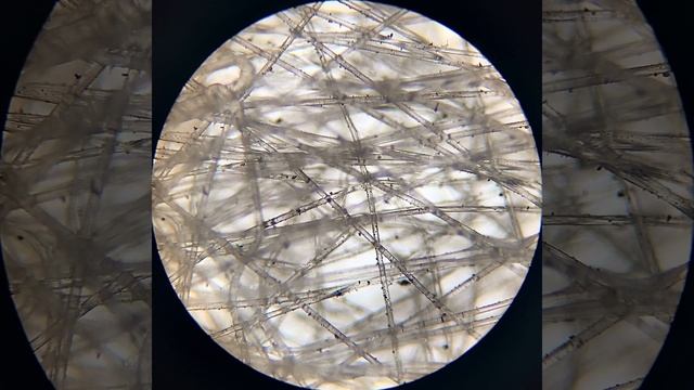 Салонный фильтр Nissan X-Trail под микроскопом после 3500 км пробега смотреть онлайн