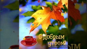 ?С добрым осенним утром, хорошего дня!??