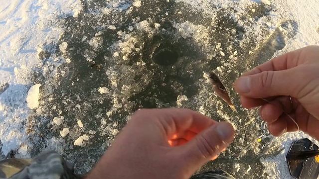 Расставил жерлицы на БОЛОТЕ !! смотреть онлайн