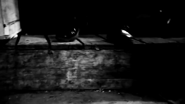 Первый Санкт-Петербургский государственный медицинский университет имени акад. И. П. Павлова смотреть онлайн