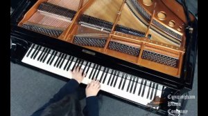 What I Love About the Bösendorfer 170 Small Parlour Grand Piano