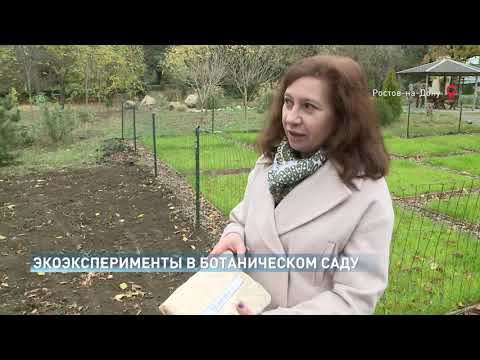 Новые сорта голландских тюльпанов, уникальная методика компостирования органических отходов.