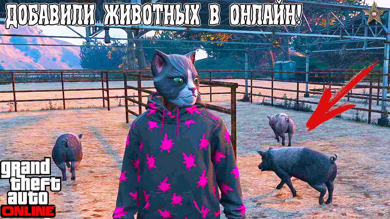 ИЩЕМ ЖИВОТНЫХ В GTA ONLINE  НА NEXT GEN ОБНОВЛЕНИЕ АВТОРАЗБОРКА (DLC THE CHOP SHOP)