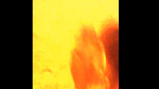 Шар-пей на прогулке по сугробам смотреть онлайн