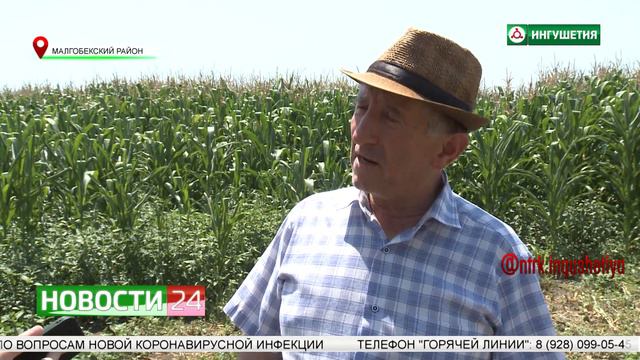 В Ингушетии началась уборочная кампания. смотреть онлайн