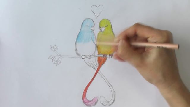 Уроки рисования. Рисуем влюбленных птиц. День святого Валентина | Art School смотреть онлайн