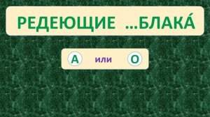 | ПРОВЕРЬ СЕБЯ | ТРЕНАЖЁР №22 ПО РУССКОМУ ЯЗЫКУ (БЕЗУДАРНЫЕ ГЛАСНЫЕ) /2 класс/. 5+