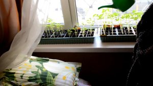 Молоко на губах - HOMEBOY