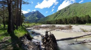 Peaceful Birds Chirping & Mountain River Sounds