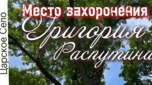 Место захоронения? Григория Распутина в Царском Селе