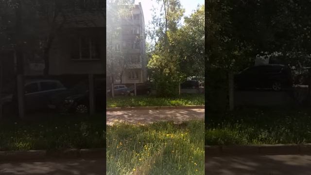 Покадровая съёмка Meizu m3s смотреть онлайн