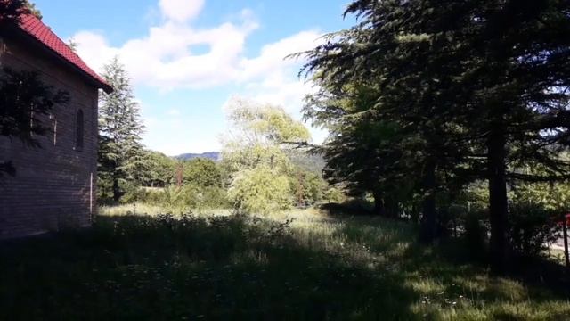 Грузия Ткибули 03.06.2021г. смотреть онлайн