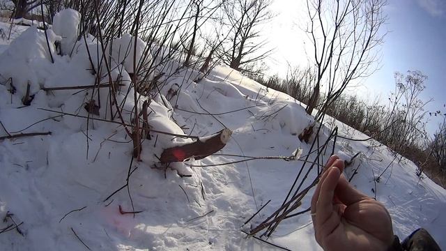 Охота на бобра зимой.Часть 2. смотреть онлайн