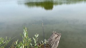 На что лучше клюёт? Китайски, отечественный червь или опарыш