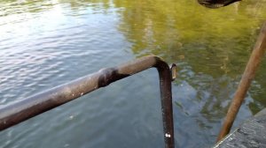 Ловим мидии в Белом море