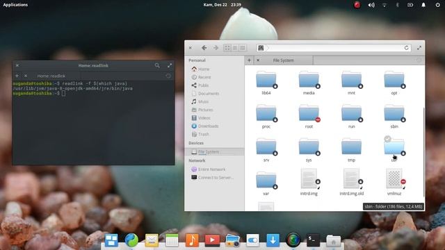 Where is Java Installed on System (Linux) смотреть онлайн