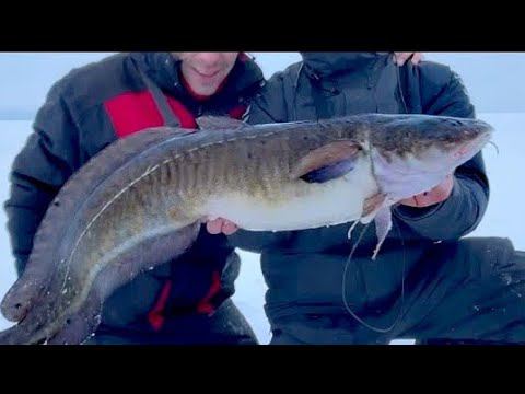 ОГРОМНЫЙ Налим на АРМАТУРУ ч.2! Зимняя рыбалка на Онежскую  ТРЕСКУ! Поймай на меня если сможешь