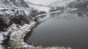 Ловушка для Утку сработало две уток попалось