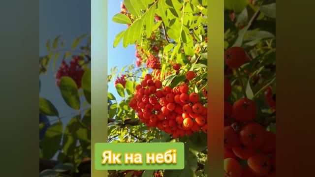 #молитва "Отче Наш"мовою Ісуса смотреть онлайн